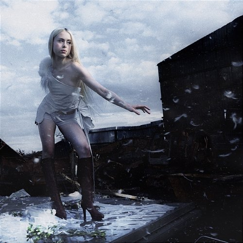 MACHINE GHOST Erin LeCount
