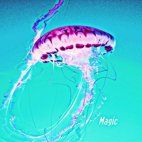 Magic Justin Chancellor