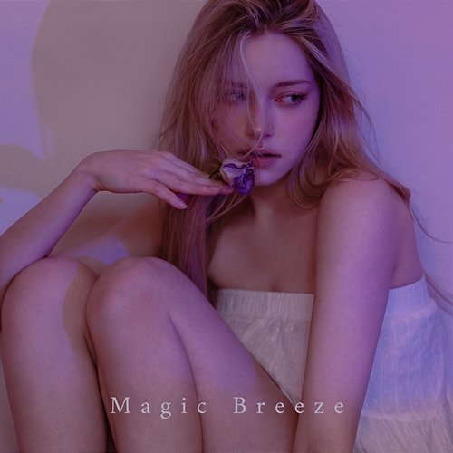 Magic Breeze entoy
