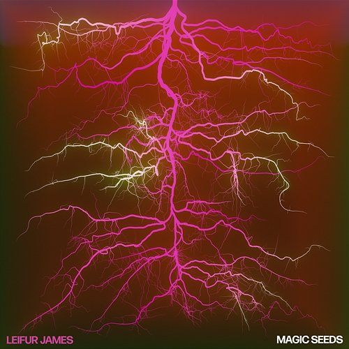 Magic Seeds Leifur James