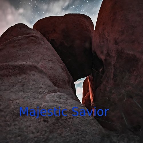 Majestic Savior Christopher Goins