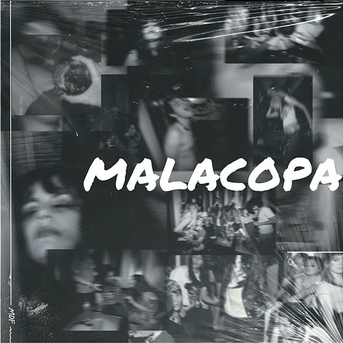 Malacopa Morenito De Fuego