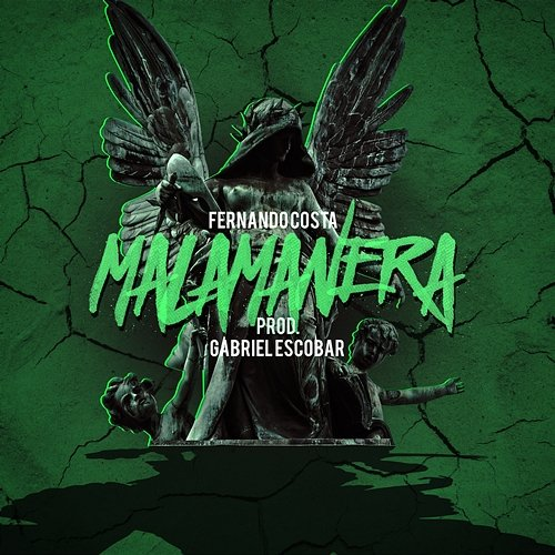 Malamanera fernandocosta