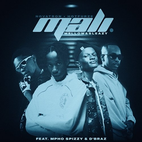 Mali Hotfurze & Mellow & Sleazy feat. Mpho Spizzy, D' Braz, Novatron