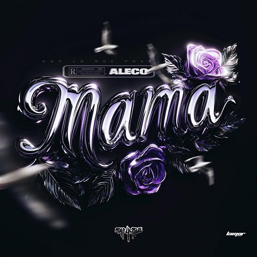 MAMA Rap La Rue, ALECO
