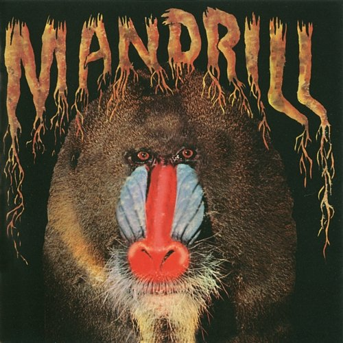 Mandrill Mandrill