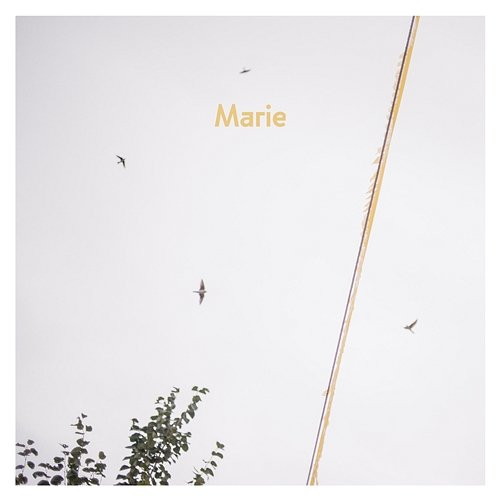 Marie Annenmaykantereit