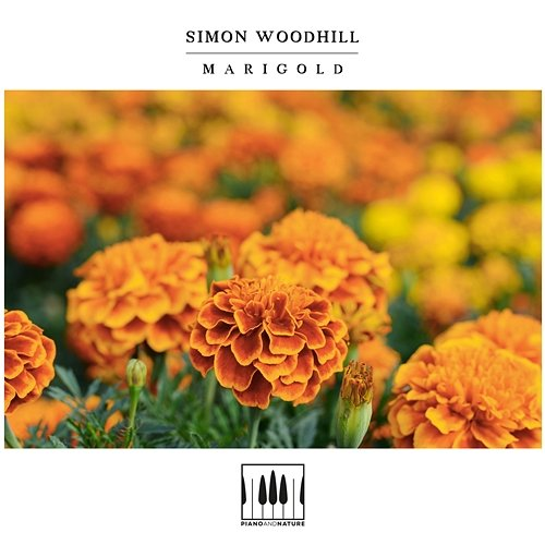 Marigold Simon Woodhill