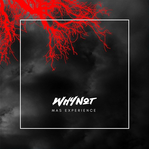 Mas Experience WHY NOT