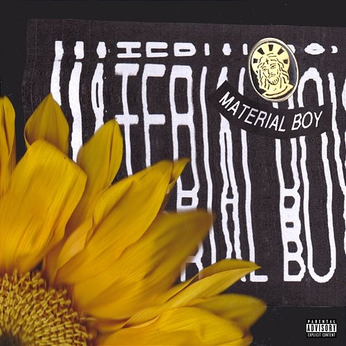Material Boy Sir Sly