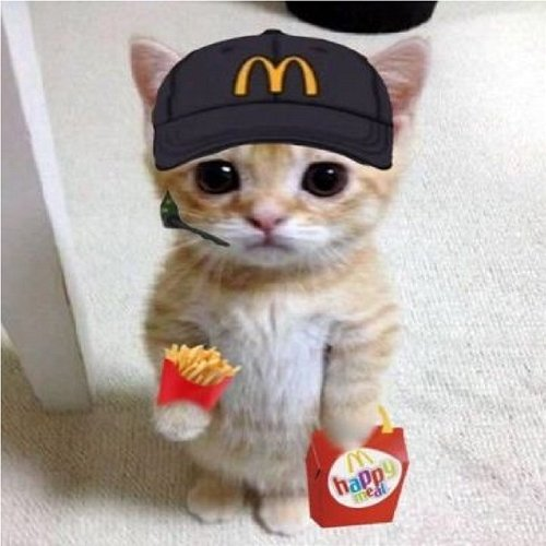 MCDOLLAR Lil Saper, Kenzo1900X