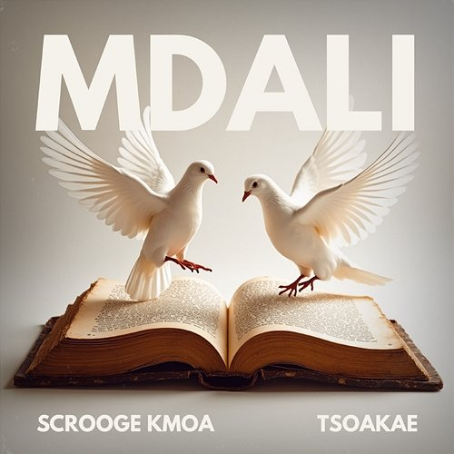 Mdali Scrooge KMOA, Tsoakae