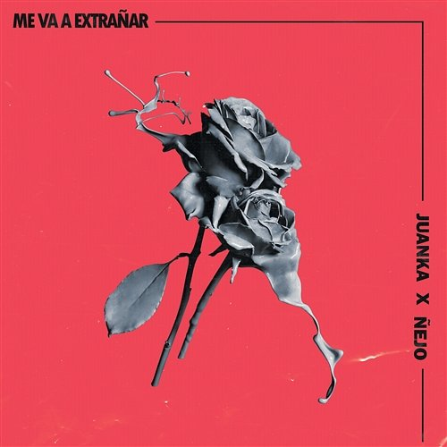 Me Va A Extrañar Juanka, Ñejo