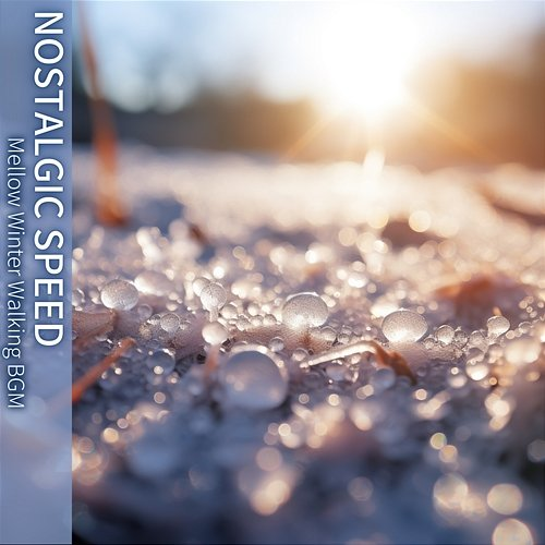 Mellow Winter Walking Bgm Nostalgic Speed