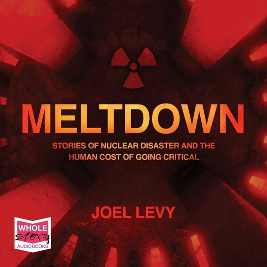 Meltdown - audiobook Levy Joel