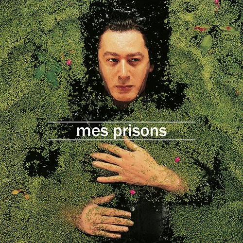 Mes prisons Alain Bashung