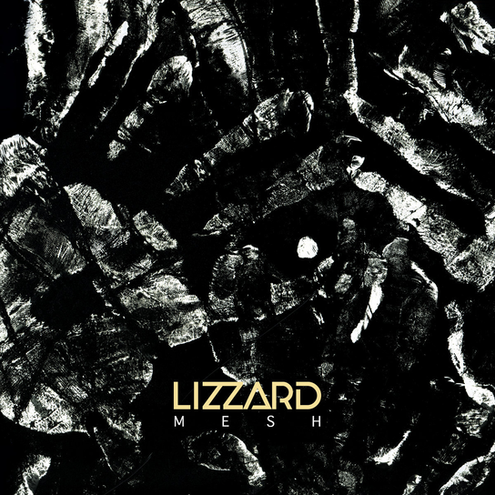 Mesh Lizzard