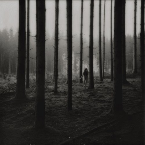 Metamorphosis Abraham Fogg