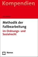 Methodik der Fallbearbeitung Weber Dirk