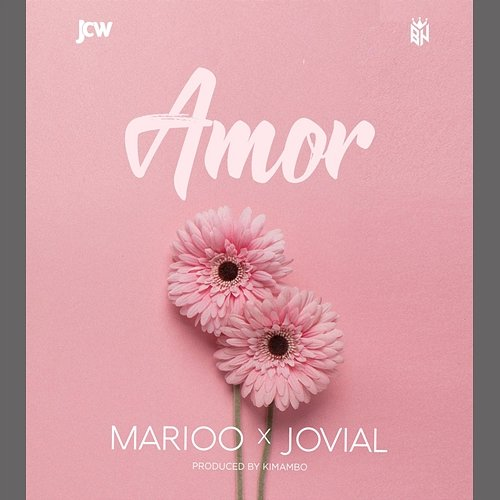 Mi Amor Marioo feat. Jovial
