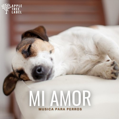 Mi Amor Musica para perros