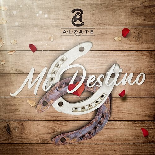 Mi Destino alzate