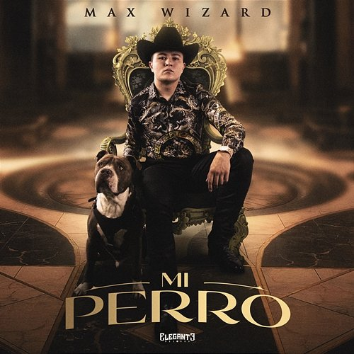 Mi Perro Max Wizard