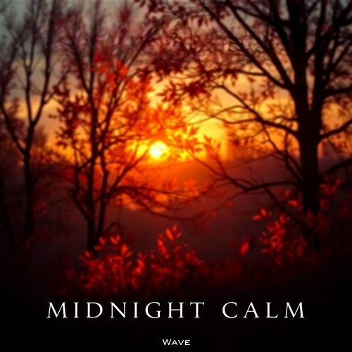 Midnight Calm Wave