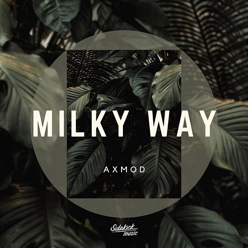 Milky Way Axmod