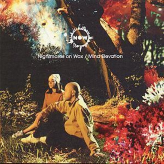 Mind Elevation Nightmares On Wax