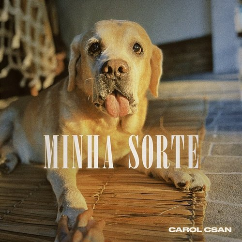 Minha Sorte Carol Csan