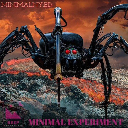 Minimal Experiment MINIMALNY.ED