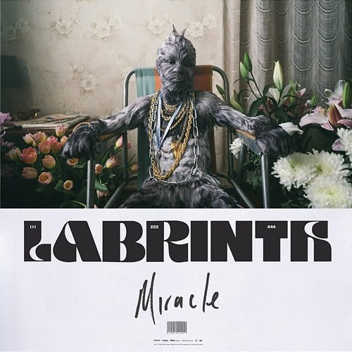 Miracle Labrinth