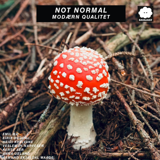 Modaern Qualitet Not Normal