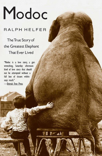 Modoc Helfer Ralph