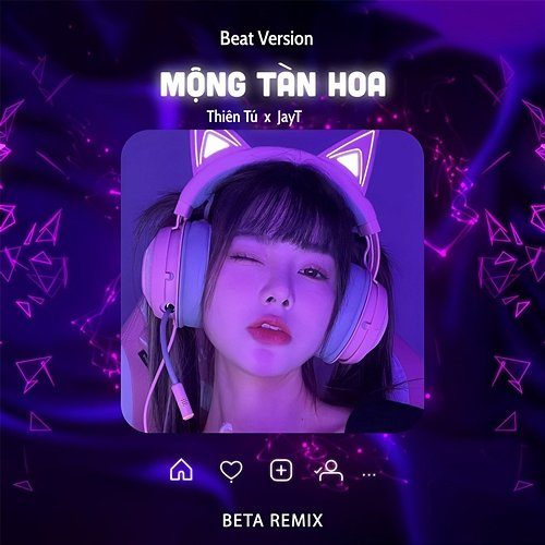 Mộng Tàn Hoa Beta Remix, Thiên Tú & Jay T