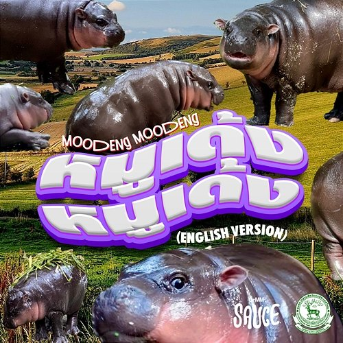 Moodeng Moodeng GMM SAUCE, Petabear