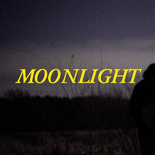 Moonlight Shy Albatross