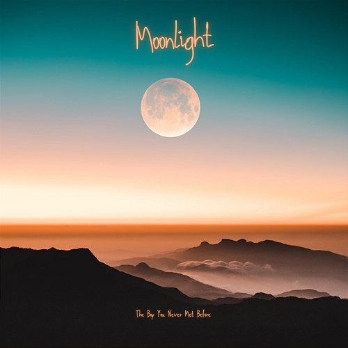 Moonlight The boy you never met before
