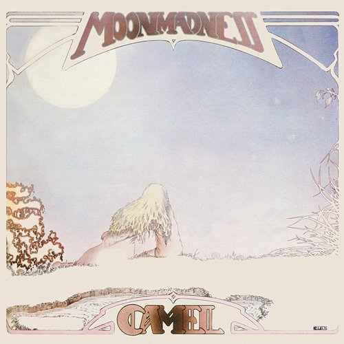 Moonmadness Camel