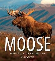Moose Raycroft Mark