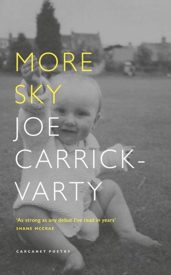 More Sky Carcanet Press Ltd