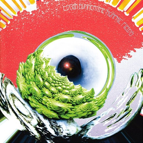Morphic Fields Edgar Summertyme