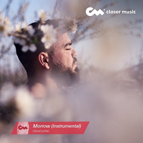 Morrow cloud pulse