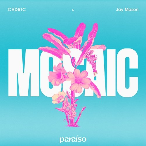 Mosaic C3DRIC & Jay Mason