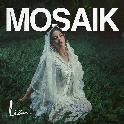 Mosaik LIÄN