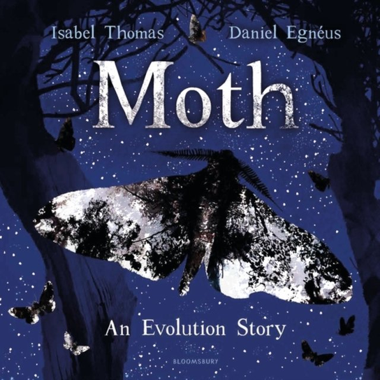 Moth Thomas Isabel