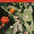 Motto Sky Larkin