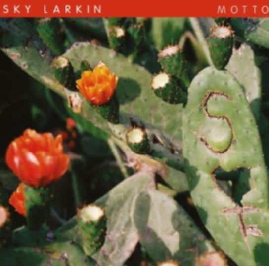 Motto Sky Larkin
