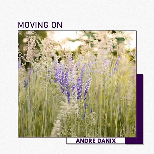 Moving on Andre Danix